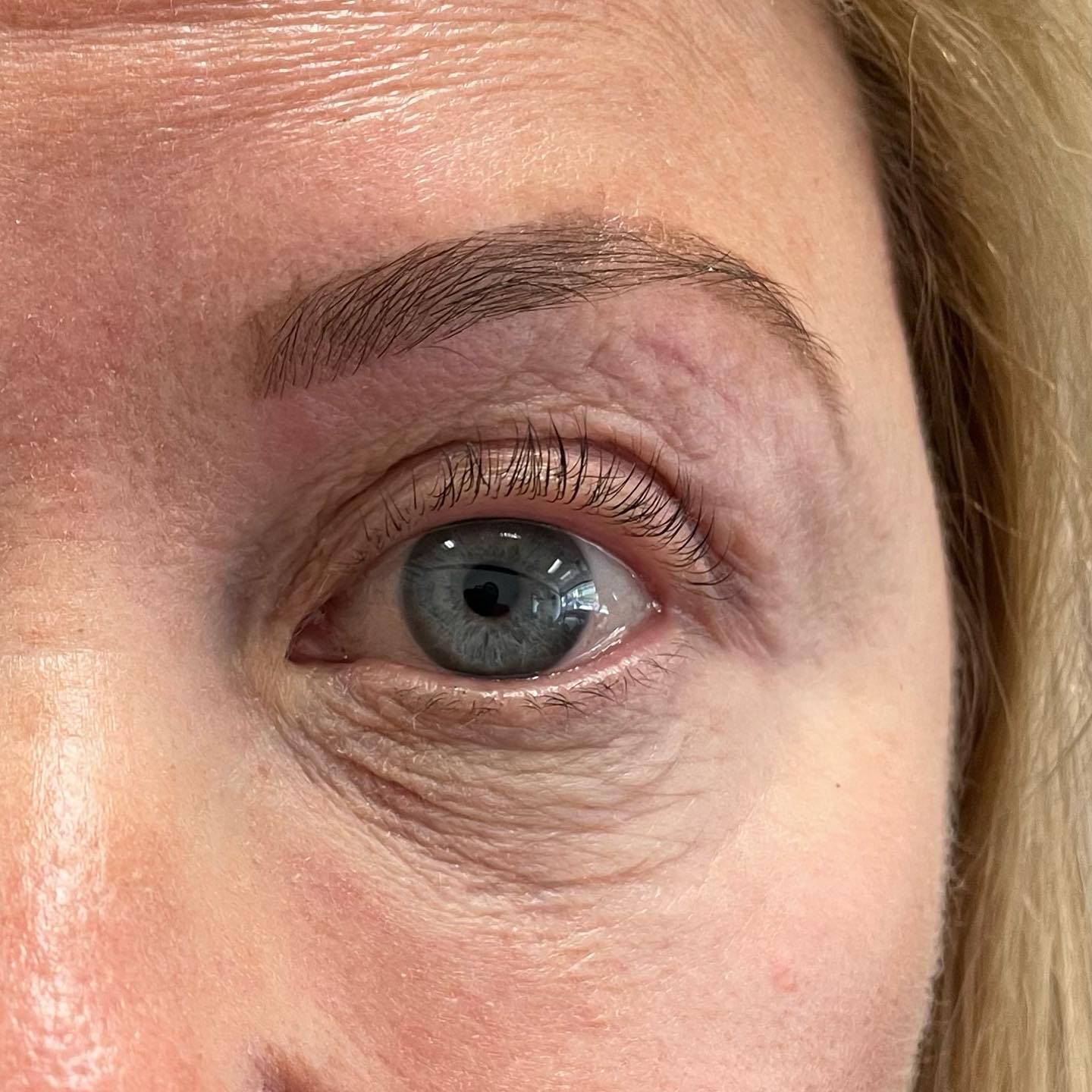 A finished eyebrow, eyelash lift and tint, in close-up.